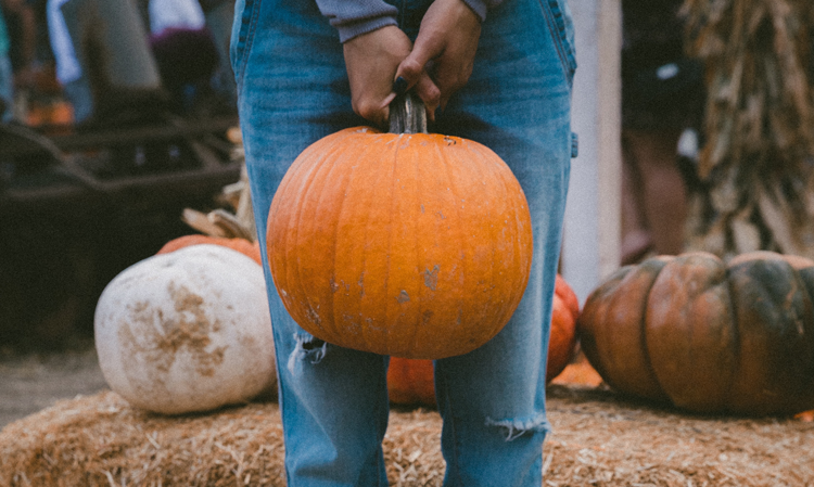 Pumpkin Patches near Cincinnati Ohio